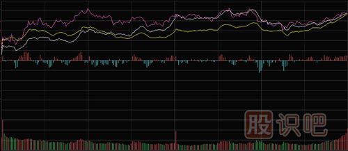 怎樣看<a href=http://www.fangzhi7.com/GPRM/sy/1798.html target=_blank class=infotextkey>大盤</a>和股票的分時(shí)走勢(shì)圖
